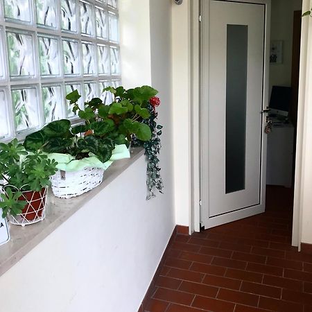 Treviso Rooms Exterior photo